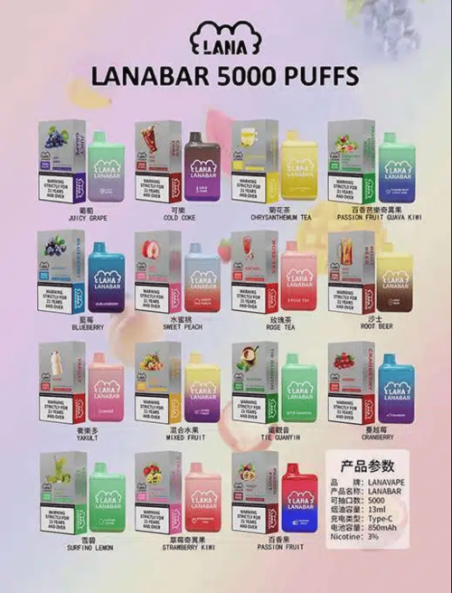 LANA 5000口 拋棄式電子煙/一次性電子煙/可充電/台灣現貨