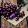 FOSV 煙油 系列果汁煙油 FRUIT OF STELL 30ml/60ml 美國進口 711到付