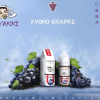 HYAKKI煙油 哈亞齊小煙油 30ML/35mg 日系進口煙油