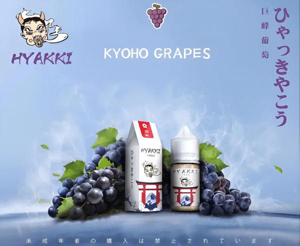 HYAKKI煙油 哈亞齊小煙油 30ML/35mg 日系進口煙油