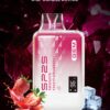 SP2 煙彈 SP2S GEM 9000 PUFFS 思博瑞抛棄式電子烟