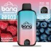 Bang 20000 Puffs Dual Mesh 雙網拋棄式電子煙 歐美爆款