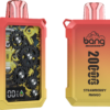 Bang Wheel 20000 PUFFS 齒輪外觀 一次性抛棄式電子煙 歐美爆款