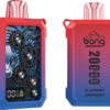 Bang Wheel 20000 PUFFS 齒輪外觀 一次性抛棄式電子煙 歐美爆款