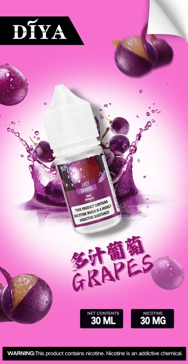 Diya煙油 叮啞30ml 小煙油