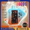 Bang Wheel 20000 Puffs 拋棄式電子煙｜可充電大容量霧化棒｜美國熱銷款